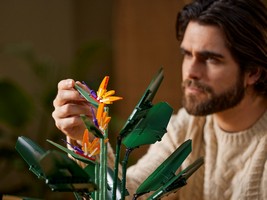 LEGO 10289 картинка 12