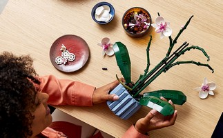 LEGO 10311 картинка 6