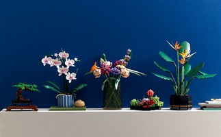 LEGO 10311 картинка 8