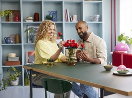 LEGO 10328 картинка 6