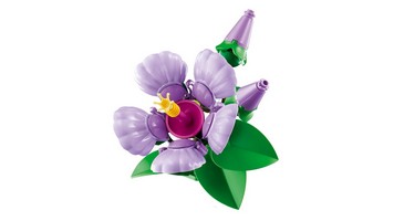 LEGO 10372 картинка 7