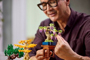 LEGO 10373 картинка 10