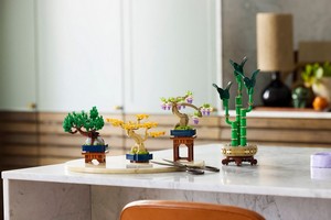 LEGO 10373 картинка 12