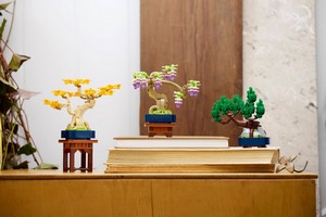 LEGO 10373 картинка 2