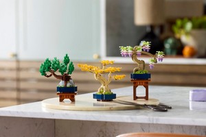 LEGO 10373 картинка 4