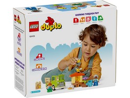 LEGO 10419 картинка 4 LEGO 10419 картинка 4