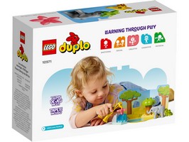 LEGO 10971 картинка 3 LEGO 10971 картинка 3