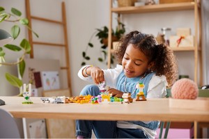 LEGO 11034 картинка 8 LEGO 11034 картинка 8