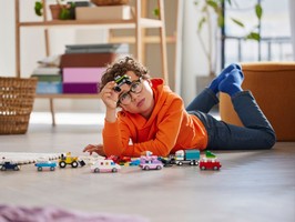 LEGO 11036 картинка 9 LEGO 11036 картинка 9