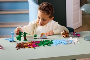 LEGO 11041 картинка 9 LEGO 11041 картинка 9
