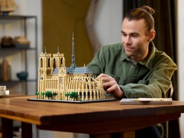LEGO 21061 картинка 10 LEGO 21061 картинка 10