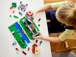 LEGO 21161 картинка 8 LEGO 21161 картинка 8