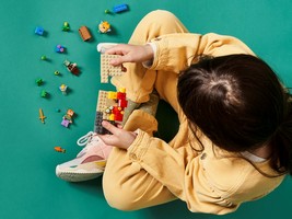 LEGO 21164 картинка 6