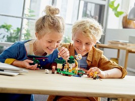 LEGO 21165 картинка 10 LEGO 21165 картинка 10