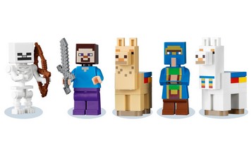 LEGO 21167 картинка 2 LEGO 21167 картинка 2