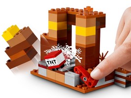 LEGO 21167 картинка 6 LEGO 21167 картинка 6