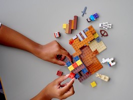 LEGO 21167 картинка 8 LEGO 21167 картинка 8