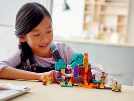 LEGO 21168 картинка 12 LEGO 21168 картинка 12