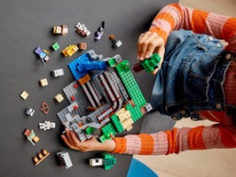 LEGO 21169 картинка 10 LEGO 21169 картинка 10