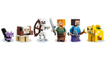 LEGO 21169 картинка 3 LEGO 21169 картинка 3