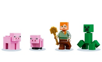 LEGO 21170 картинка 3 LEGO 21170 картинка 3