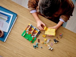 LEGO 21171 картинка 7 LEGO 21171 картинка 7
