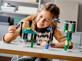LEGO 21173 картинка 10 LEGO 21173 картинка 10