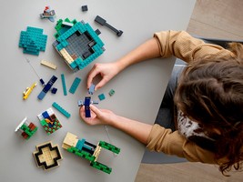 LEGO 21173 картинка 9 LEGO 21173 картинка 9