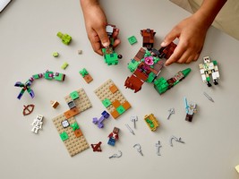 LEGO 21176 картинка 6 LEGO 21176 картинка 6