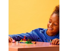 LEGO 21177 картинка 5 LEGO 21177 картинка 5