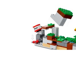 LEGO 21181 картинка 6 LEGO 21181 картинка 6