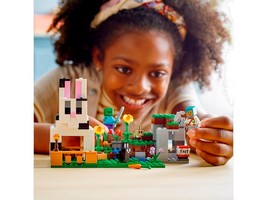 LEGO 21181 картинка 9 LEGO 21181 картинка 9