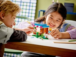 LEGO 21184 картинка 6 LEGO 21184 картинка 6