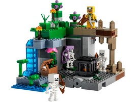 LEGO 21189 картинка 1 LEGO 21189 картинка 1