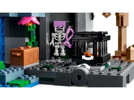 LEGO 21189 картинка 2 LEGO 21189 картинка 2