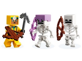 LEGO 21189 картинка 6 LEGO 21189 картинка 6