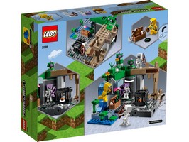 LEGO 21189 картинка 7 LEGO 21189 картинка 7