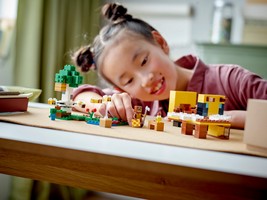 LEGO 21241 картинка 8 LEGO 21241 картинка 8