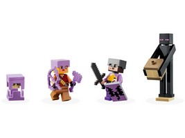 LEGO 21242 картинка 5 LEGO 21242 картинка 5