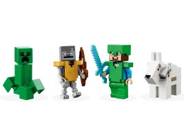 LEGO 21243 картинка 6 LEGO 21243 картинка 6