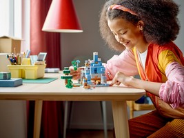 LEGO 21243 картинка 8 LEGO 21243 картинка 8