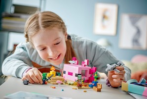 LEGO 21247 картинка 7