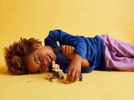 LEGO 21251 картинка 7 LEGO 21251 картинка 7