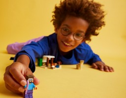 LEGO 21251 картинка 8 LEGO 21251 картинка 8