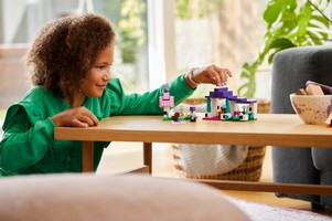 LEGO 21253 картинка 6 LEGO 21253 картинка 6