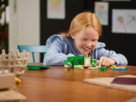 LEGO 21254 картинка 8 LEGO 21254 картинка 8