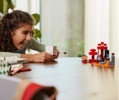 LEGO 21255 картинка 7 LEGO 21255 картинка 7