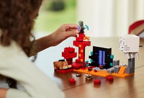 LEGO 21255 картинка 8 LEGO 21255 картинка 8