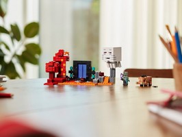 LEGO 21255 картинка 9 LEGO 21255 картинка 9