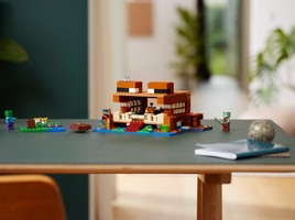 LEGO 21256 картинка 10 LEGO 21256 картинка 10